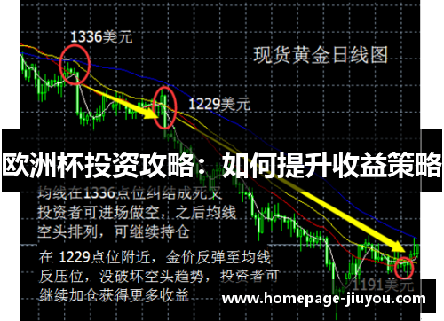 欧洲杯投资攻略：如何提升收益策略